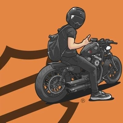 Fan de toute moto surtout Harley davidson
