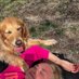 Tammy Alexander (@tammygurl79) Twitter profile photo Tammy Alexander (@tammygurl79) Twitter profile photo