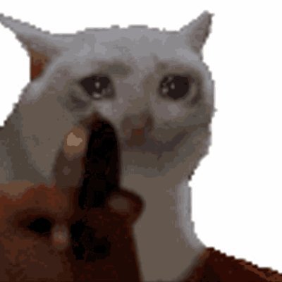 notmyidforsure's profile picture. ₿ skillset, ₿ mindset, ₿ discipline