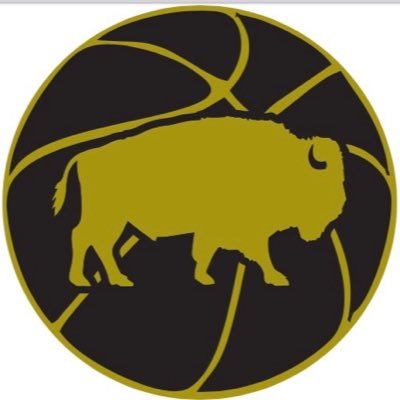 Future All WNY BBall Camp Profile
