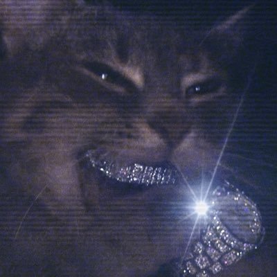 HankTheTank74's profile picture. don’t mind me just passing through….