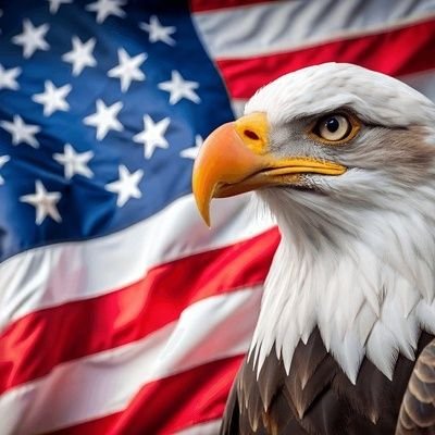 KlavelyaMerican's profile picture. 