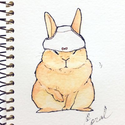 coral🐈‍⬛Skeb募集中さんのプロフィール画像