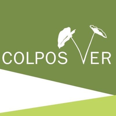 En el Campus Veracruz se imparte el Programa de Postgrado en Agroecosistemas Tropicales el cual oferta los niveles de Maestría y Doctorado.