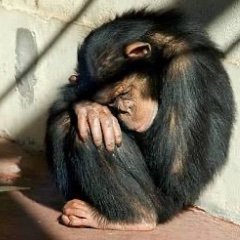 Duck56315381802's profile picture. 