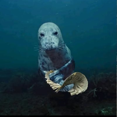 jamespatrick244's profile picture. 