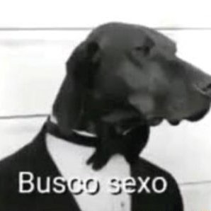 Jornalista independente. 17 Anos. Presidente da Associação jornalística Máfia dos Cães. Esquerda 🚩. Apoiador da causa LGBT 🏳️🌈.