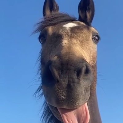 godlyanaya's profile picture. 