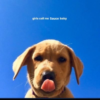 SumoBody's profile picture. 23.