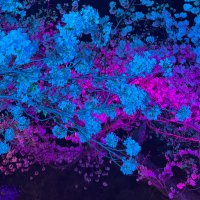 ooll.lo (@10969rui57214) Twitter profile photo