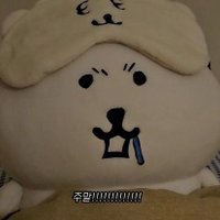 よぴ (@_duolingolove) 's Twitter Profile