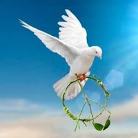 H🇺🇸Island (@hawaii_84108) 's Twitter Profile Photo