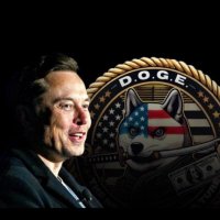 private_Elon (@private_elon8l_) 's Twitter Profile