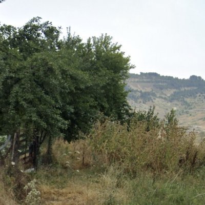 UludagBuyukdere's profile picture. Uludağ Büyükdere