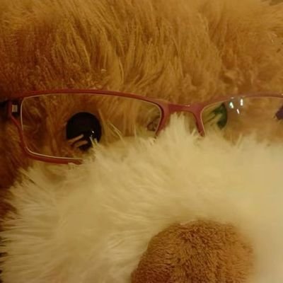 kdynng's profile picture. 🍀🫧🧺🌟 i found my love in portofinooo (｡☌ᴗ☌｡)🌞✦𓆩🌼𓆪✧