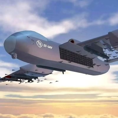 Many high-tech products! Our company have the best Unmanned Combat Aerial Vehicle and anti-drone equipment.
(fiveandblue@outlook.com)