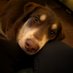 Alesia Godin (@alesiamariee82) Twitter profile photo Alesia Godin (@alesiamariee82) Twitter profile photo