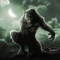 Blake Avginale (@blakea53515) 's Twitter Profile