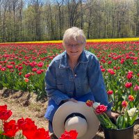 Jill Davis (@jdavis_halton) 's Twitter Profile Photo Jill Davis (@jdavis_halton) 's Twitter Profile Photo