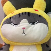 ลูกฟิกไอติมนม 🩷🩵 (@puyeepitcha) 's Twitter Profile