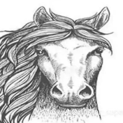 LetricJellyfish's profile picture. I like jellyfish, that's literally my whole thing
//
MVP of something