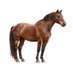 cavalo estúpido sampaio (@phainonpienon) Twitter profile photo cavalo estúpido sampaio (@phainonpienon) Twitter profile photo