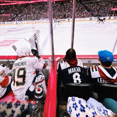 fknfangirl's profile picture. I made this acct so I don’t embarrass myself on main • screaming #GoAvsGo into the void (but also endeared by various other teams)