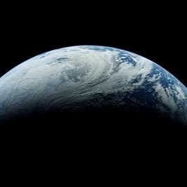 #freedom,#privacy & #worldpeace ~love the world fight for humanity. We, The People stand up and take out the Trash ! ~ #blueTeam,#RedTeam,#Elonmusk