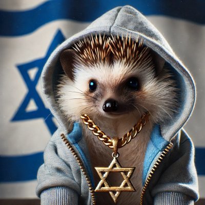 AviKipod's profile picture. 