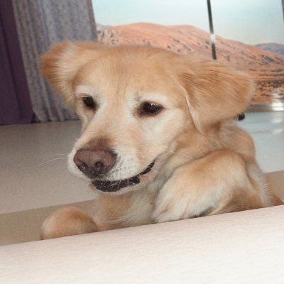 @alien1532000
