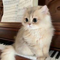 CherryBliss 🍒 (@gktyeryh) 's Twitter Profile