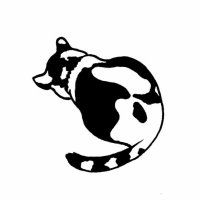 浮遊する猫 (@_floatcat) 's Twitter Profile