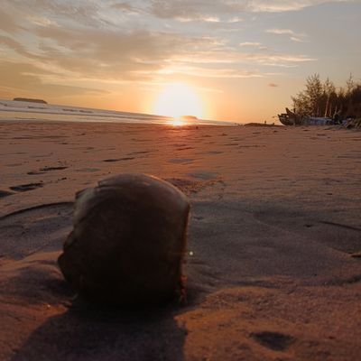 jokiTAlaravel's profile picture. Jasa Pembuatan Website & Sistem Informasi untuk Tugas Akhir Mahasiswa