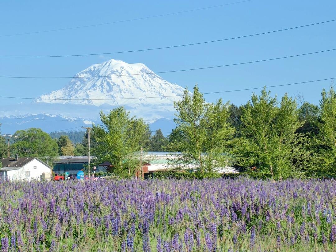 Jeexau0202's profile picture. Bright circuits, brighter conversations