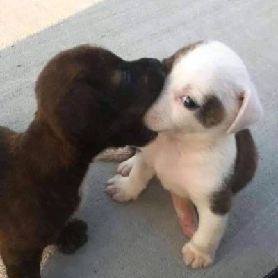 amgtpwmqda's profile picture. 