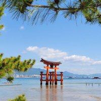 としたん (@yukidgruma) Twitter profile photo