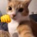 Nathang59 (@yerikg59) Twitter profile photo Nathang59 (@yerikg59) Twitter profile photo