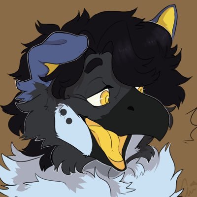 Hello hello I’m Echo, horny bird spreading his seed on the internet. 🔞| 🇨🇦 | 24