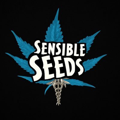 The largest retailer of cannabis seeds in the world! 5000+ strains of cannabis seeds, including autos, dwarfs, high THC, high CBD.