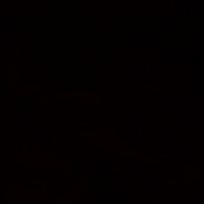 891frog's profile picture. 