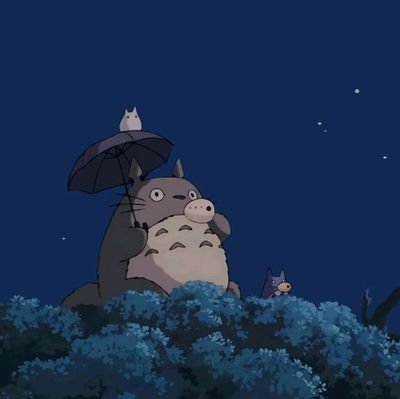 kabukaku0221's profile picture. 