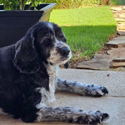 RisingMiles Profile