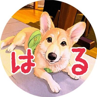 晴☀そらママさんのプロフィール画像