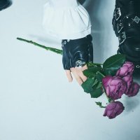 gooddays2021🐾 (@feelgood_x8v) Twitter profile photo