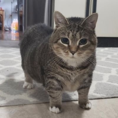 UrielDz's profile picture. Buebos