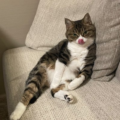 Qp19720907Qp's profile picture. もも