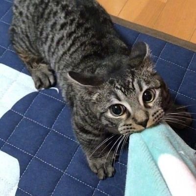 maevis23's profile picture. 