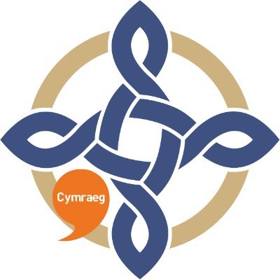 YFelindre's profile picture. Rydym yn darparu gwasanaethau canser a gwaed arbenigol, gofal a ymchwil drwy @GC_Felindre a @GwaedCymru. In English: @VelindreTrust