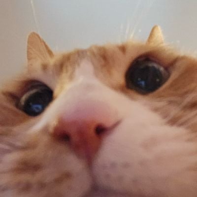 ً joo 🍞 Profile