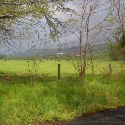 sammyy__6's profile picture. 22 y/o -- bi (m pref) 💖💜💙 -- trans (ftm) 🏳️‍⚧️ -- he/him -- cat obsessed 😼

👇 go do ur daily click